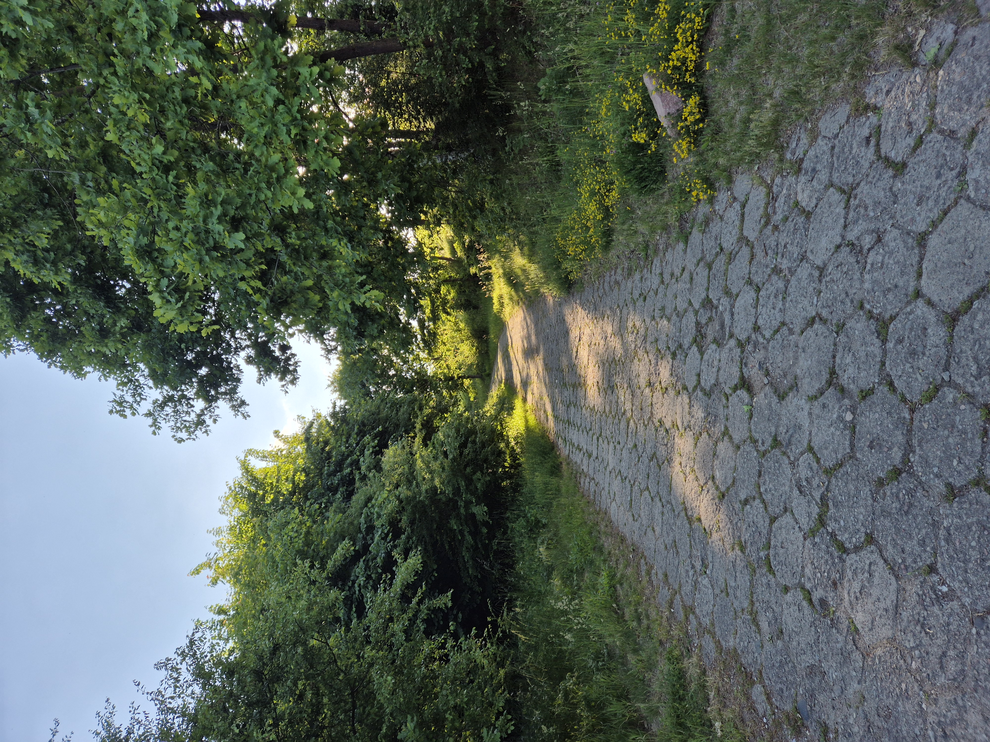 Diagnostyka psychologiczna